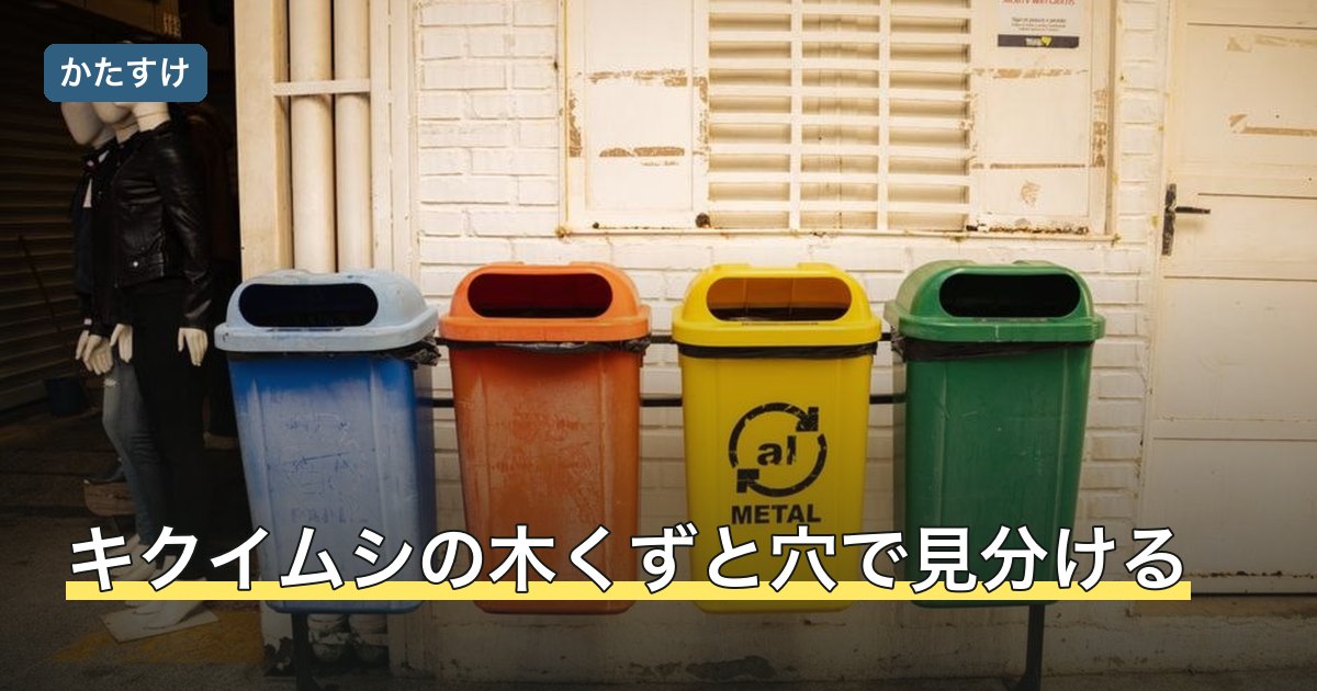 キクイムシの木くずと穴で見分ける