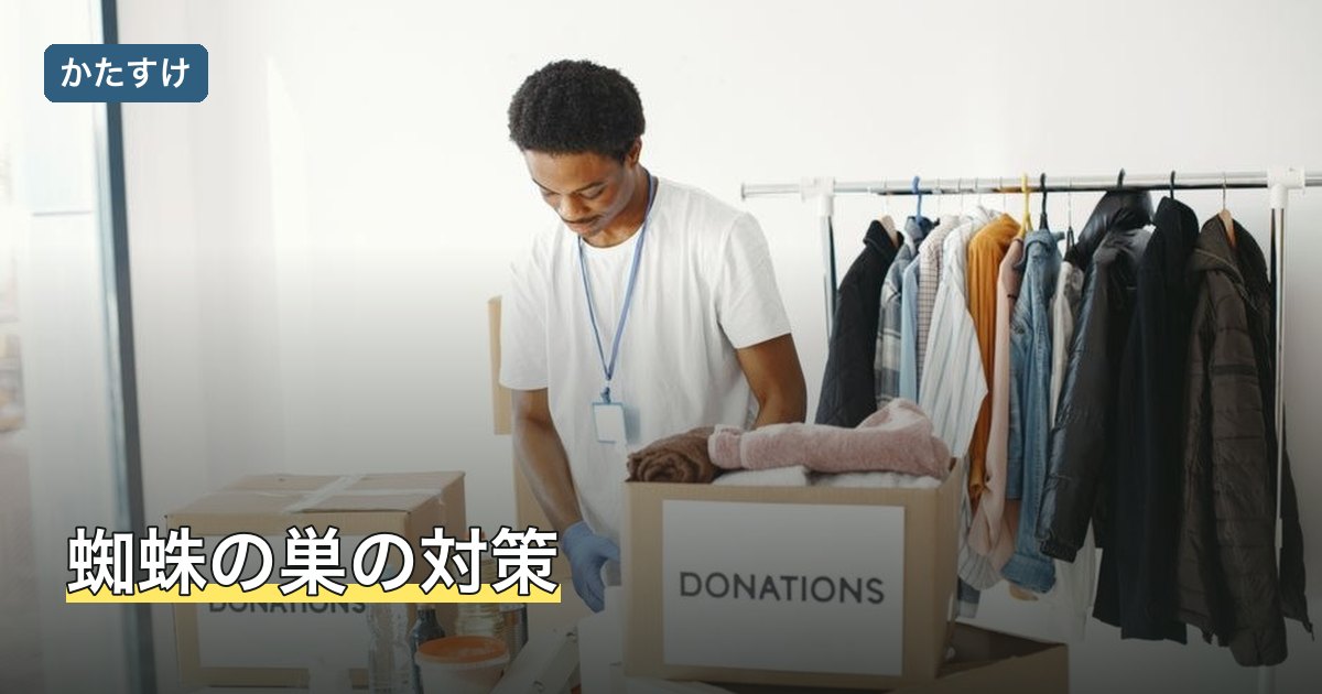 蜘蛛の巣の対策