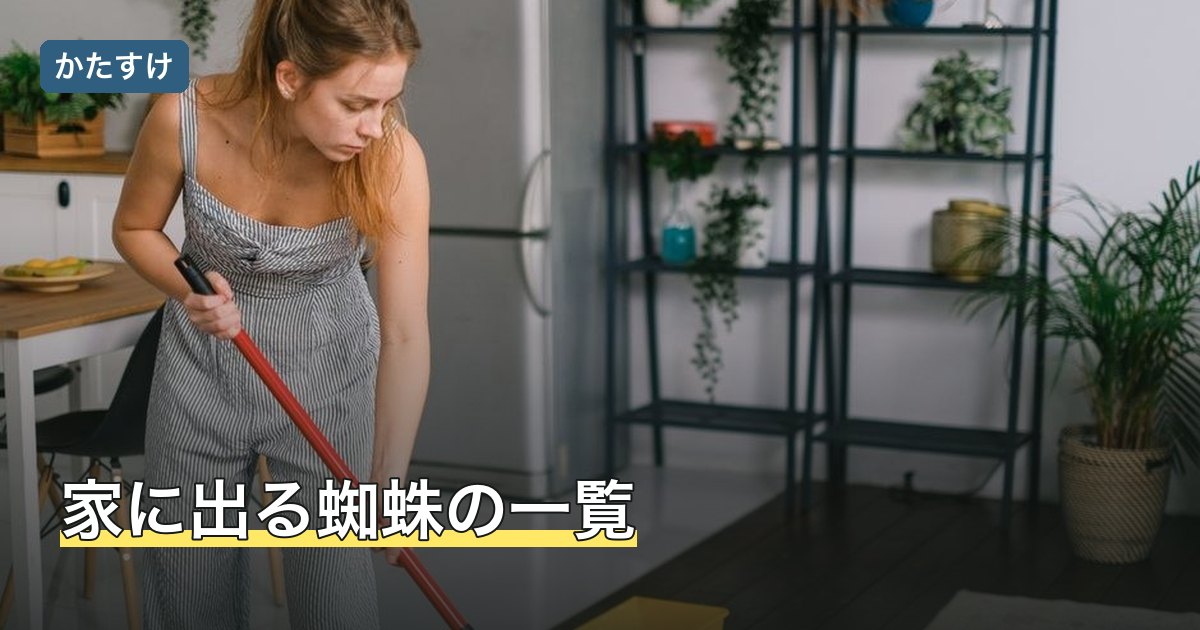 家に出る蜘蛛の一覧