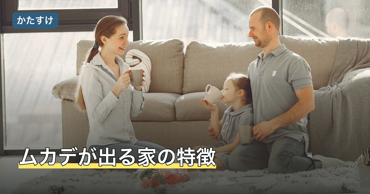 ムカデが出る家の特徴