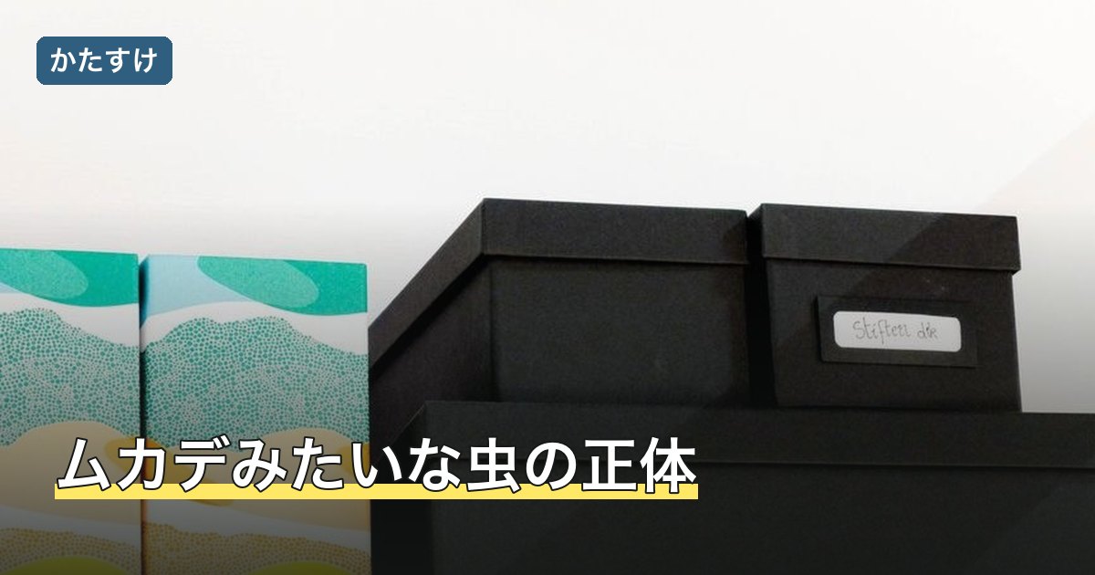ムカデみたいな虫の正体