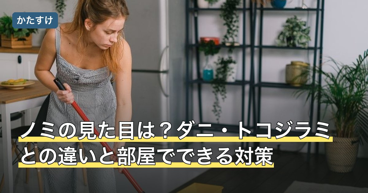 ノミの見た目は？ダニ・トコジラミとの違いと部屋でできる対策