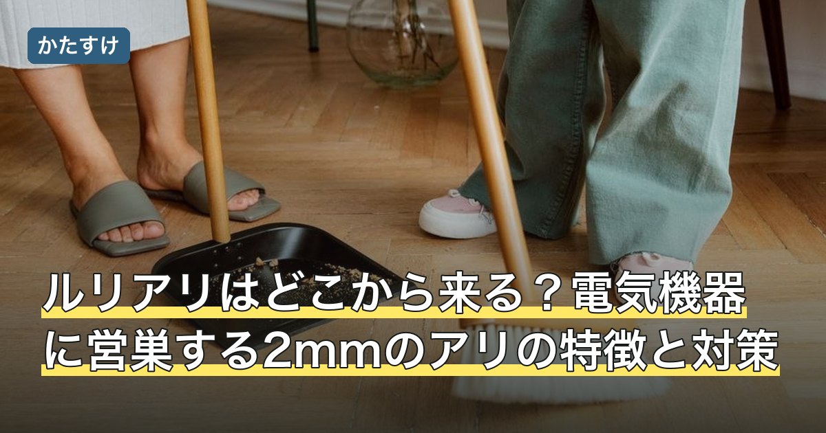 ルリアリはどこから来る？電気機器に営巣する2mmのアリの特徴と対策