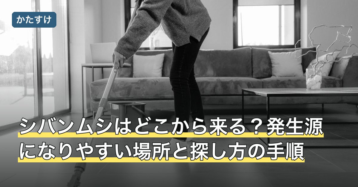シバンムシはどこから来る？発生源になりやすい場所と探し方の手順