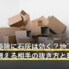 スギナ駆除に石灰は効く？地下茎と胞子で増える相手の抜き方と時期