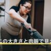 ツメダニの大きさと肉眼で見えるか