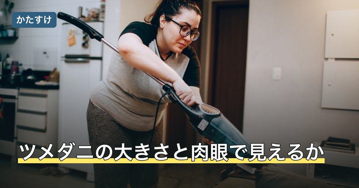 ツメダニの大きさと肉眼で見えるか
