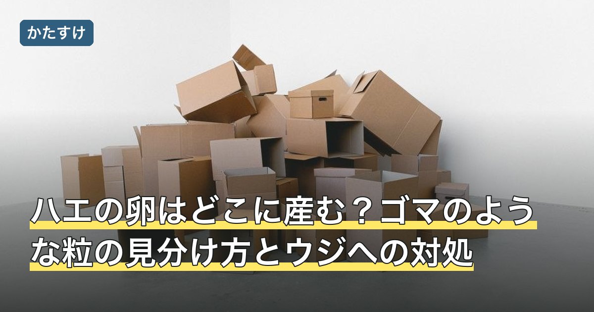 ハエの卵はどこに産む？ゴマのような粒の見分け方とウジへの対処