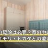 ヤモリの駆除は必要？家の中に来る理由とイモリ・トカゲとの違い
