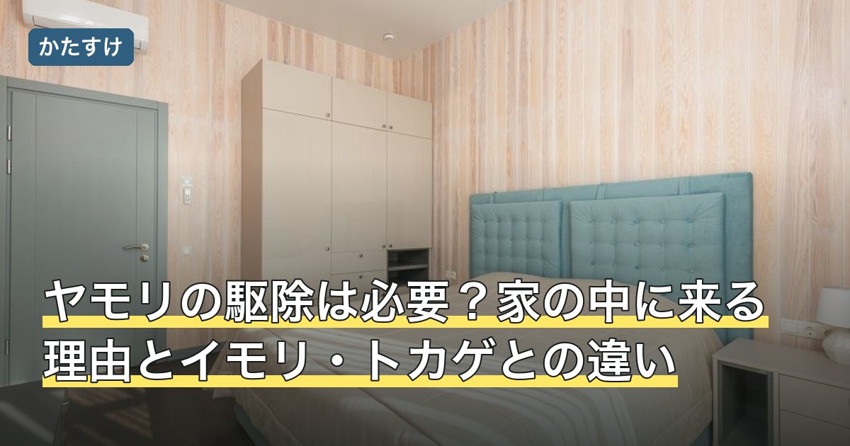ヤモリの駆除は必要？家の中に来る理由とイモリ・トカゲとの違い